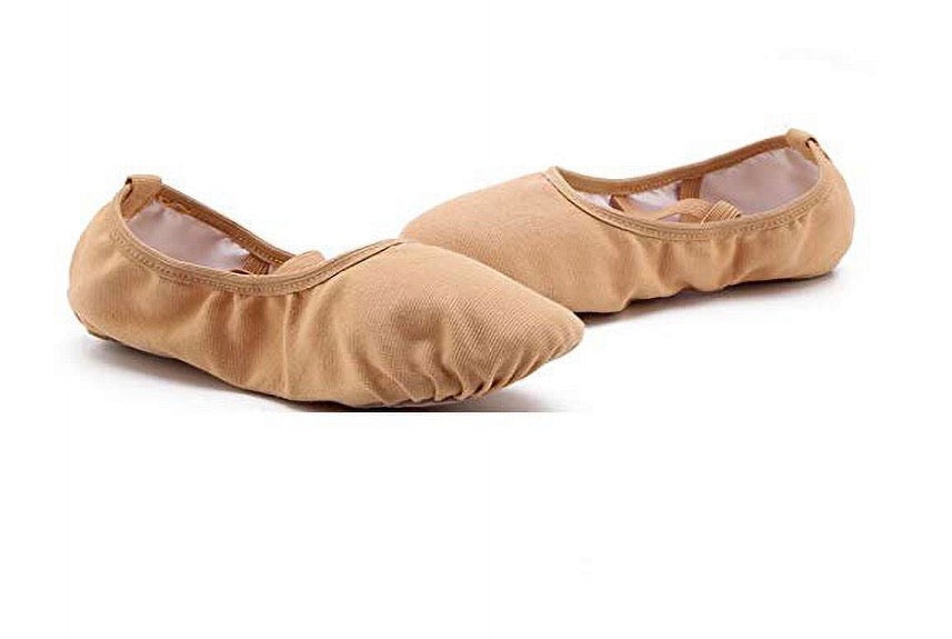 Zapatilla de Danza
