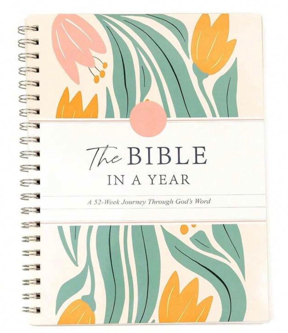 The Bible in a Year