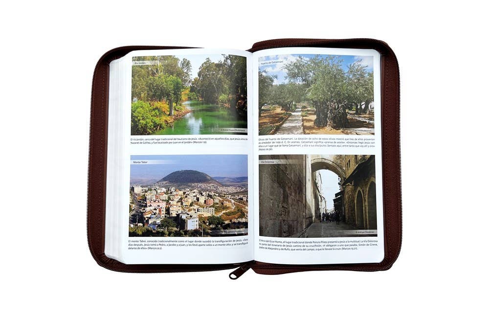RVR60, Santa Biblia, Tierra Santa, Ultrafina, Letra grande,