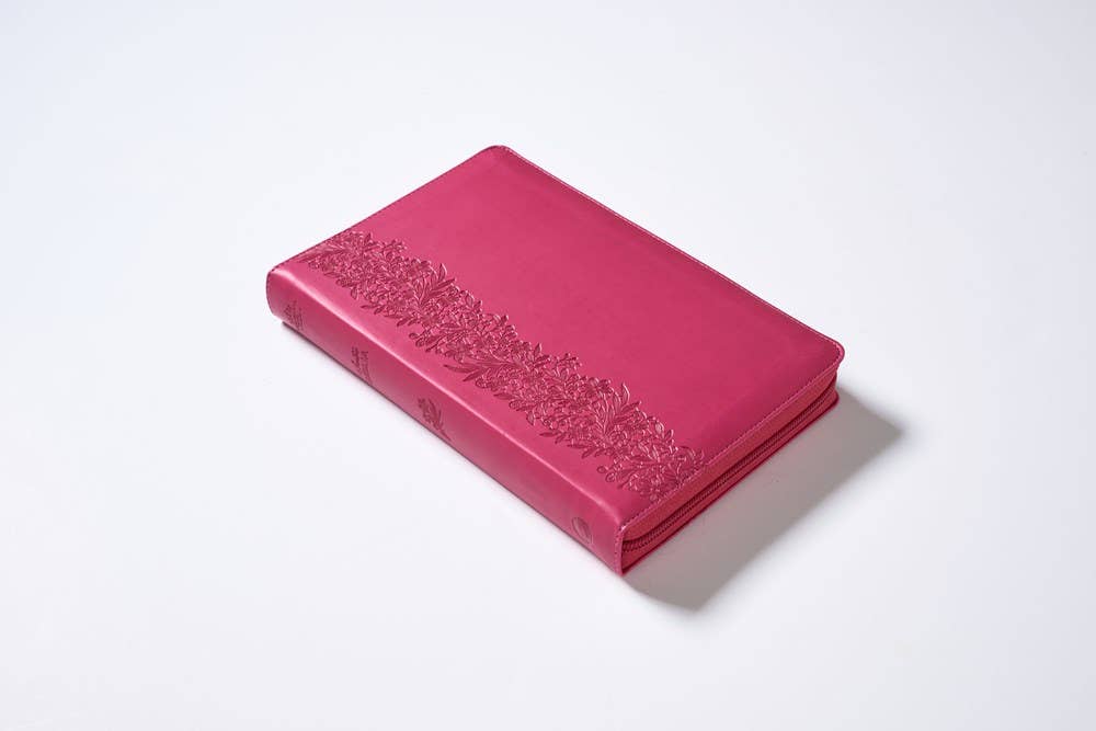 RVR60, Santa Biblia, Tierra Santa, Ultrafina, Letra grande