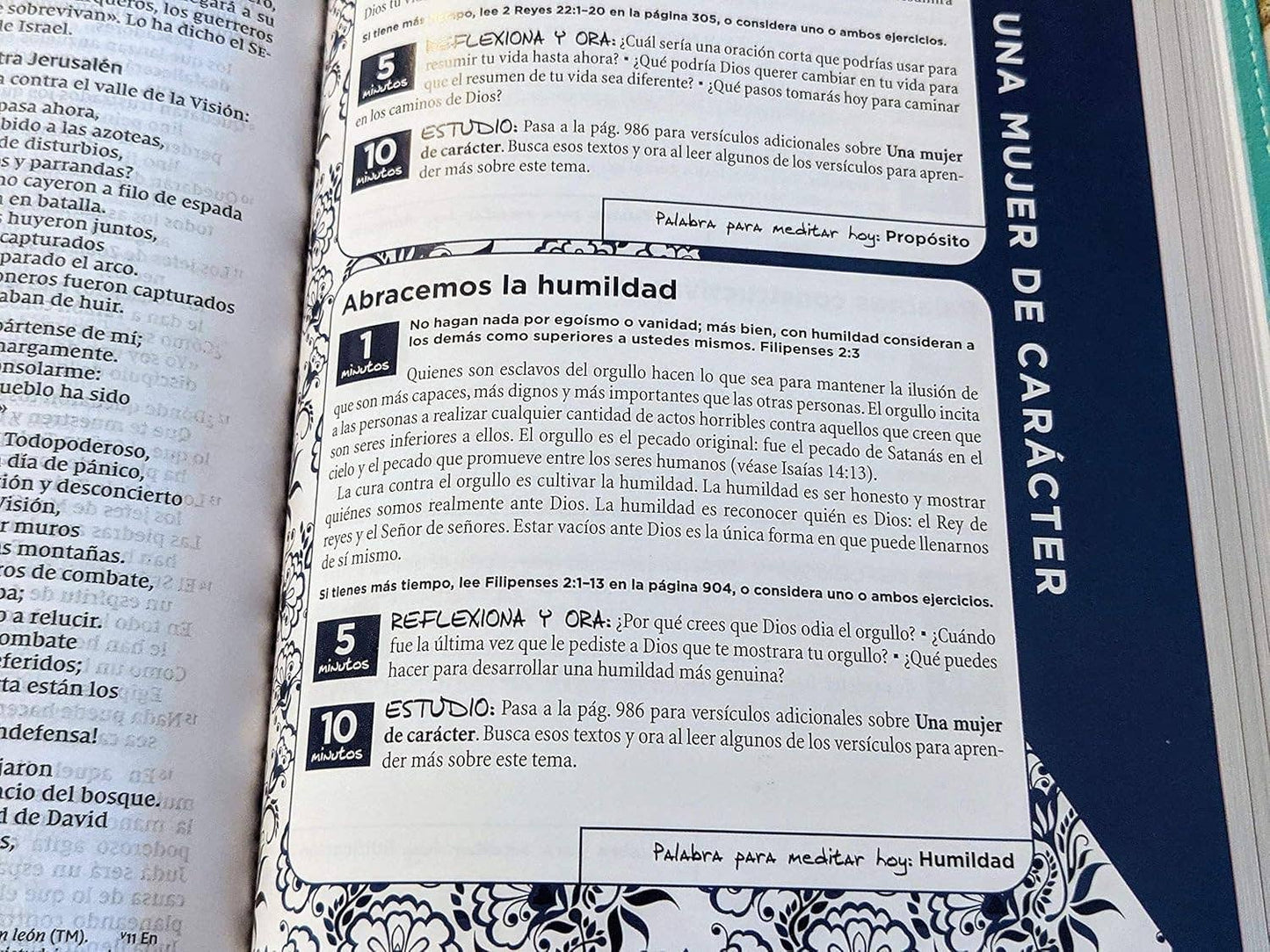 NVI, Biblia de la Mamá Ocupada, Leathersoft, Turquesa