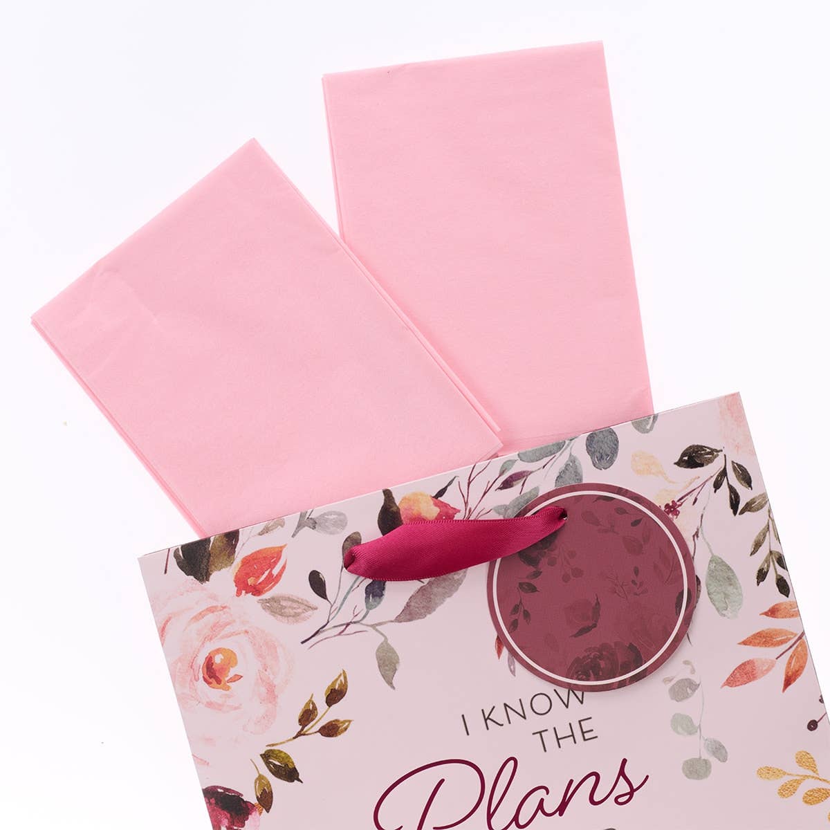 Gift Bag Pink I Know the Plans Jer. 29:11