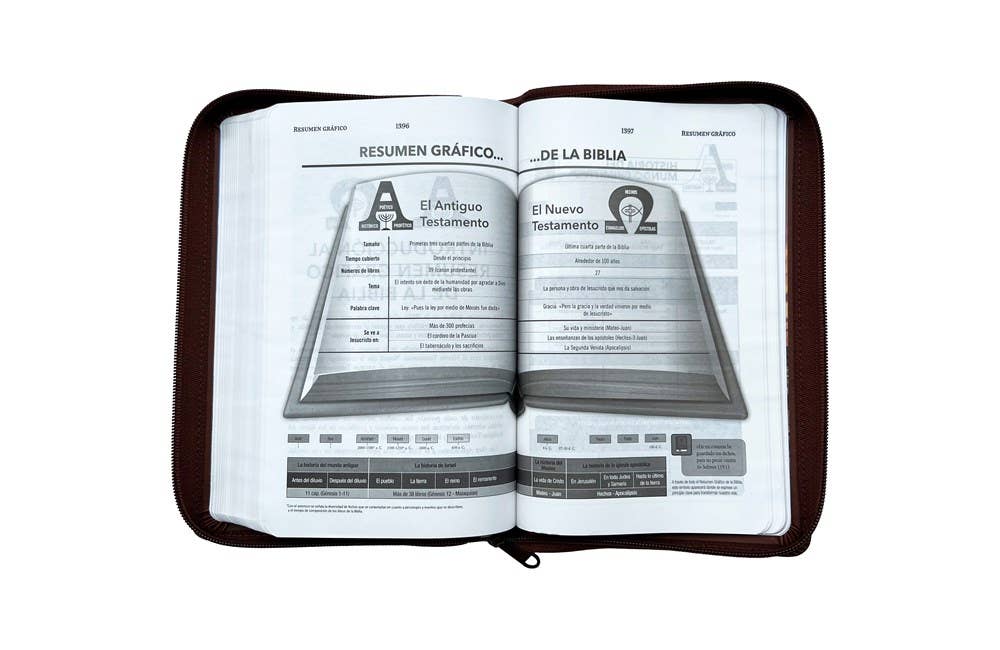 RVR60, Santa Biblia, Tierra Santa, Ultrafina, Letra grande,