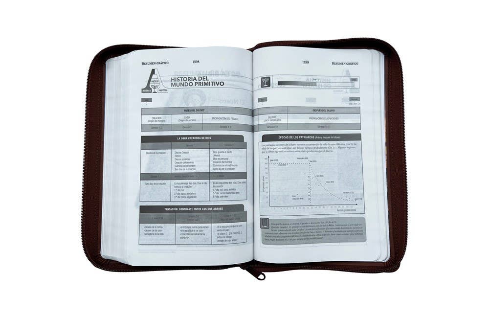 RVR60, Santa Biblia, Tierra Santa, Ultrafina, Letra grande,