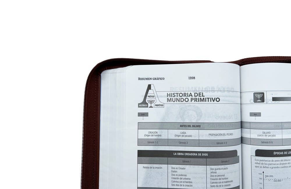RVR60, Santa Biblia, Tierra Santa, Ultrafina, Letra grande,