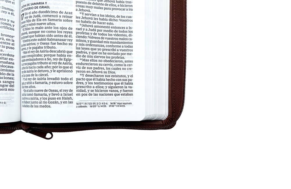 RVR60, Santa Biblia, Tierra Santa, Ultrafina, Letra grande,
