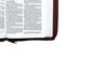 RVR60, Santa Biblia, Tierra Santa, Ultrafina, Letra grande,