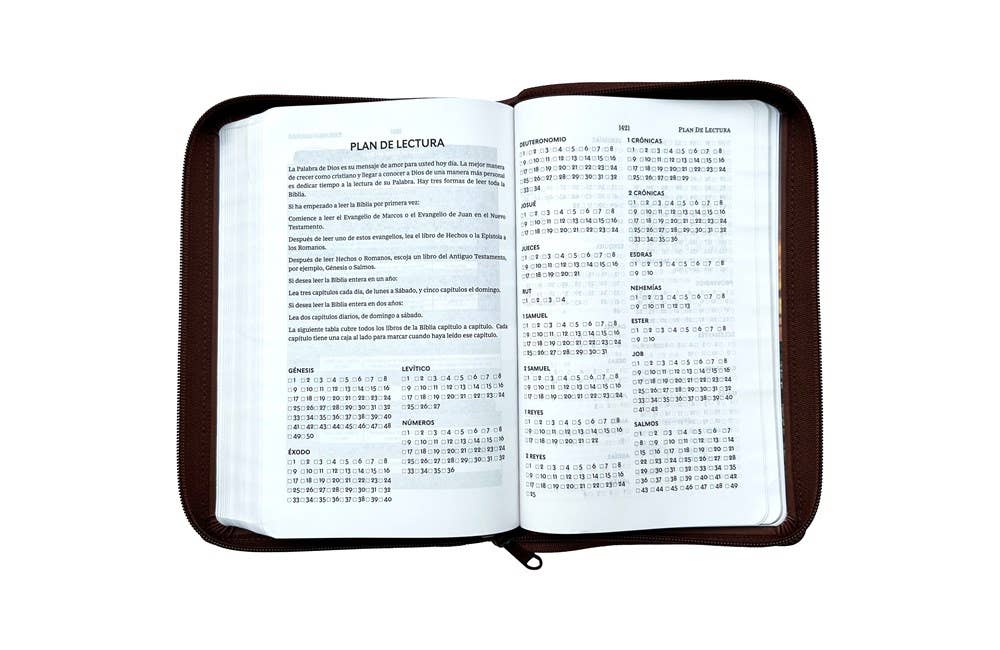 RVR60, Santa Biblia, Tierra Santa, Ultrafina, Letra grande,