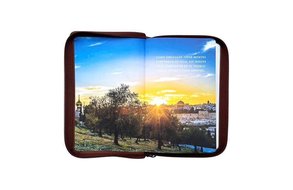 RVR60, Santa Biblia, Tierra Santa, Ultrafina, Letra grande,